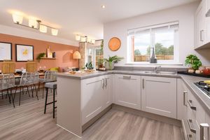 Photo 11- click for photo gallery